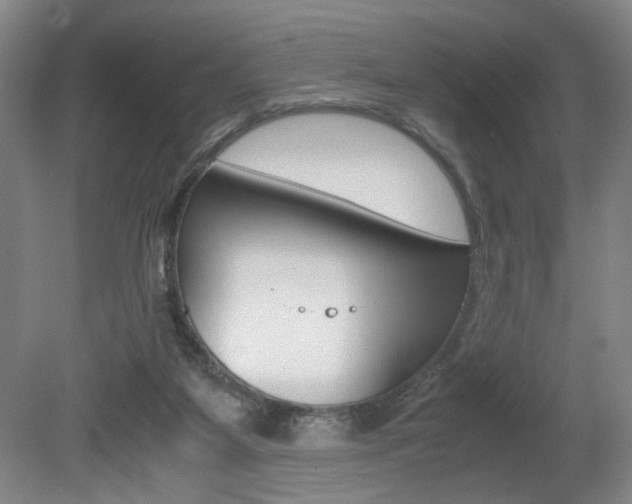 X0000080700115200612150847