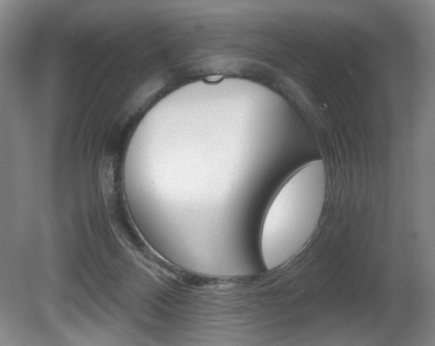 X0000080700120200612150847