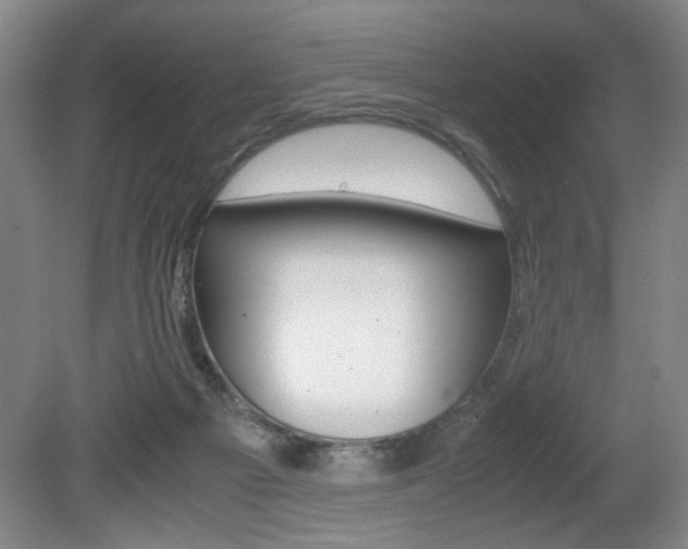 X0000080700121200612150847