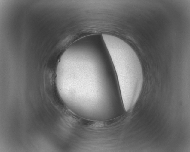 X0000080700123200612150847