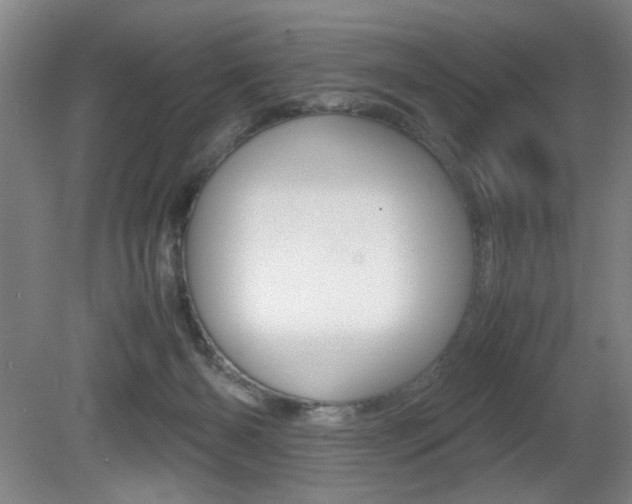X0000080700126200612150846