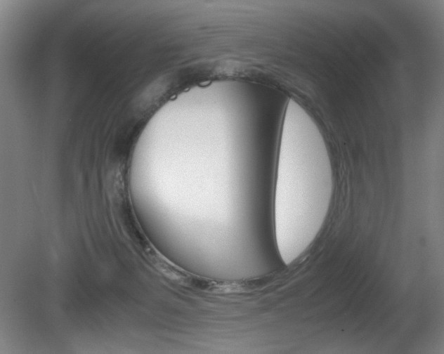 X0000080700127200612150846