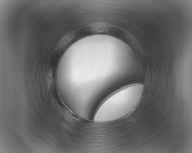 X0000080700128200612150846