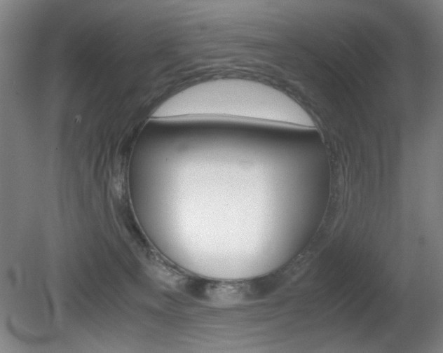 X0000080700129200612150846