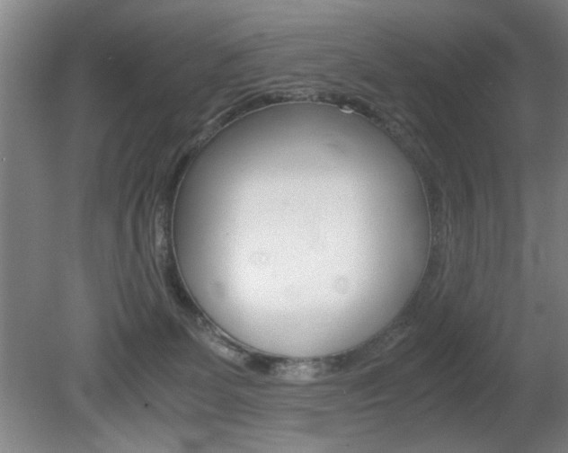 X0000080700131200612150846
