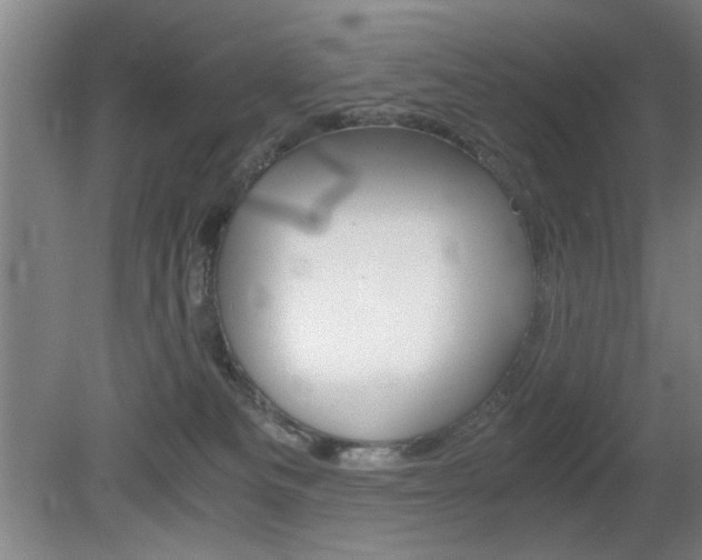 X0000080700133200612150846