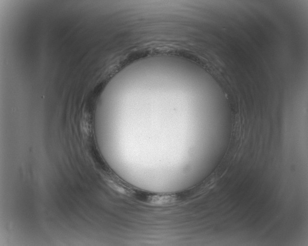 X0000080700135200612150846