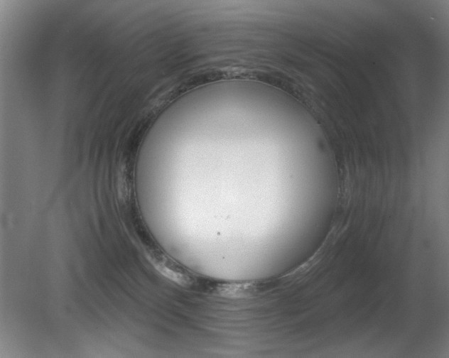 X0000080700136200612150846