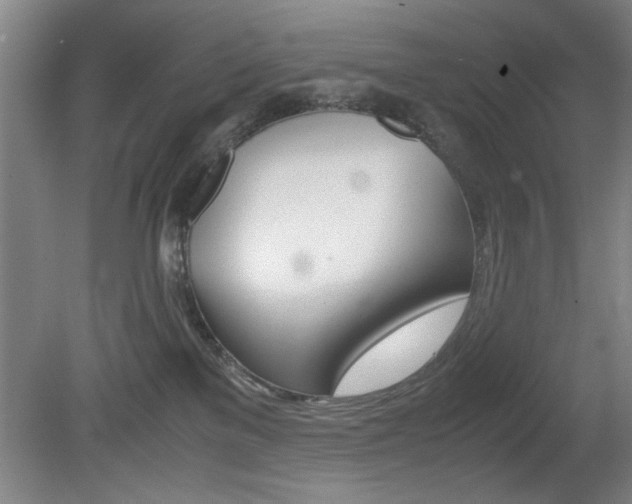 X0000080700137200612150846