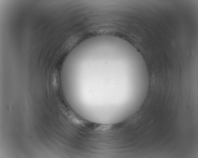 X0000080700138200612150846