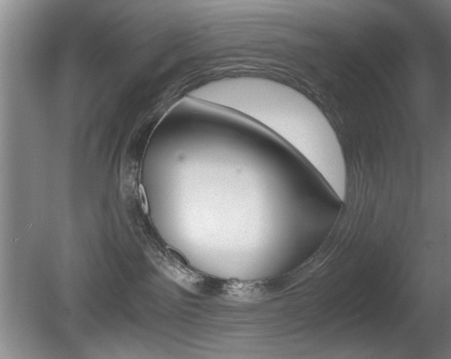 X0000080700141200612150846