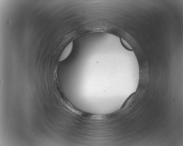 X0000080700142200612150846