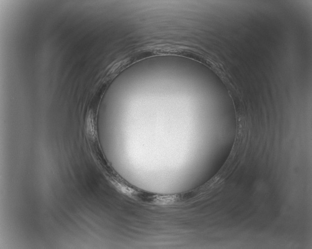 X0000080700143200612150846