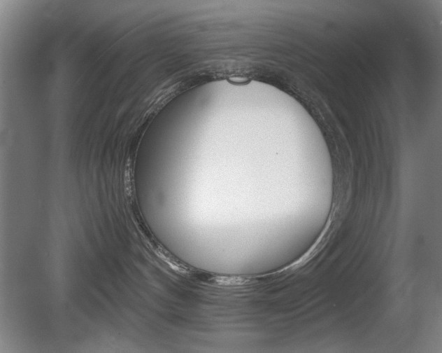 X0000080700144200612150846