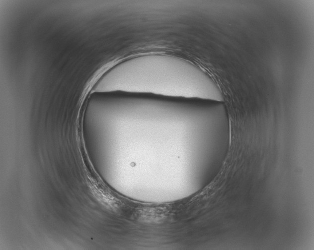 X0000080700147200612150845