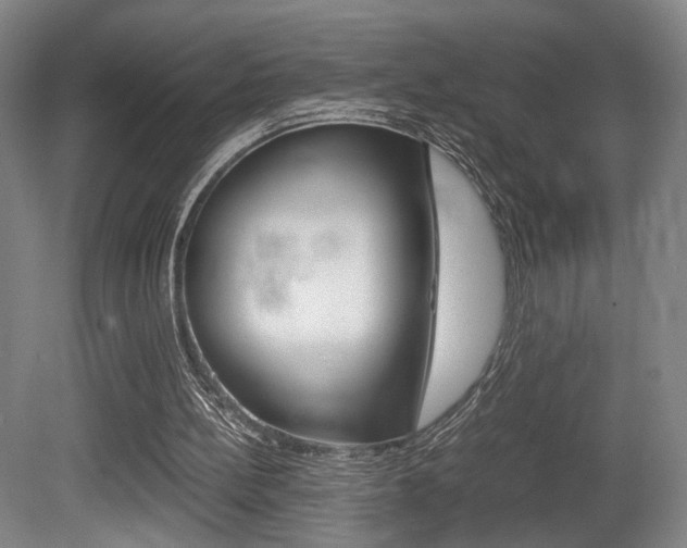 X0000080700148200612150845