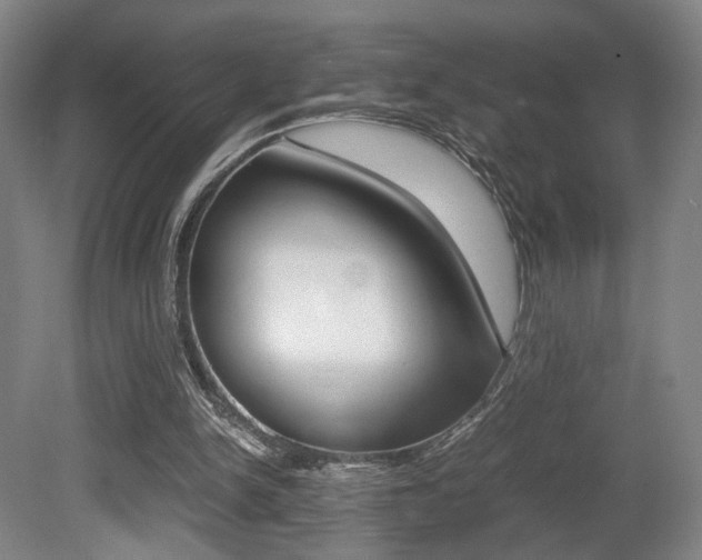 X0000080700150200612150845