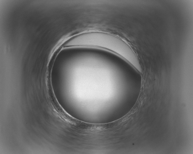 X0000080700152200612150845