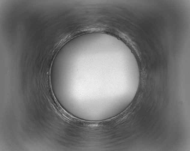 X0000080700153200612150845