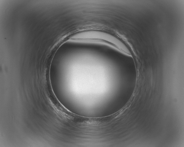 X0000080700154200612150846