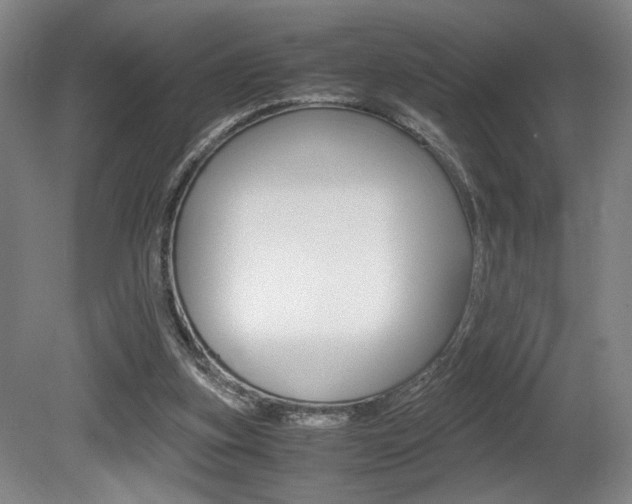 X0000080700155200612150846