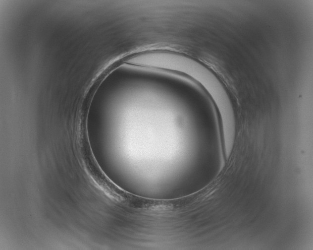 X0000080700156200612150846