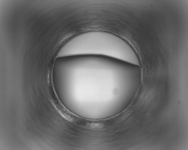 X0000080700157200612150846