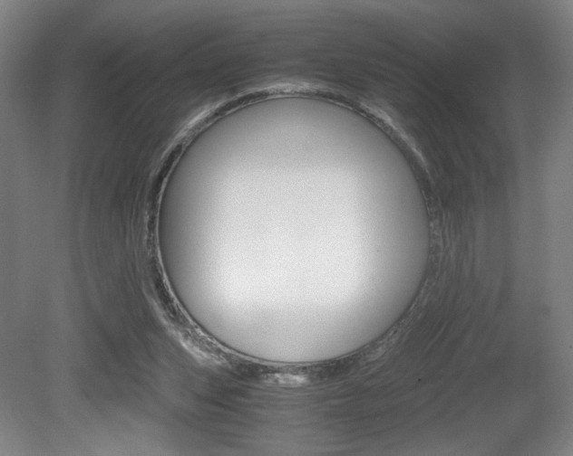 X0000080700159200612150846
