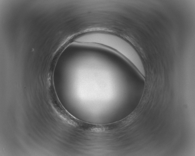 X0000080700160200612150846