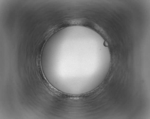 X0000080700161200612150846