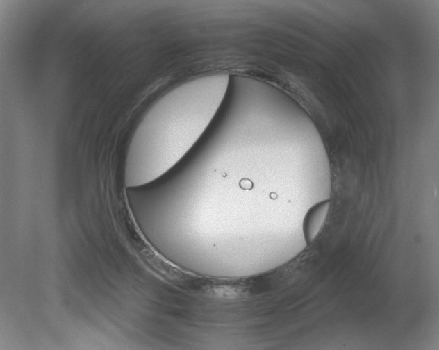 X0000080700163200612150846