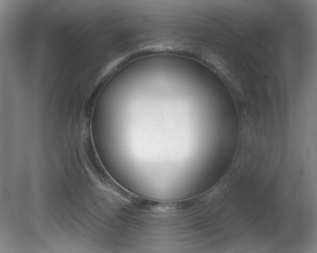 X0000080700164200612150846