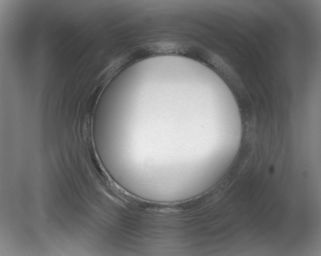 X0000080700165200612150846