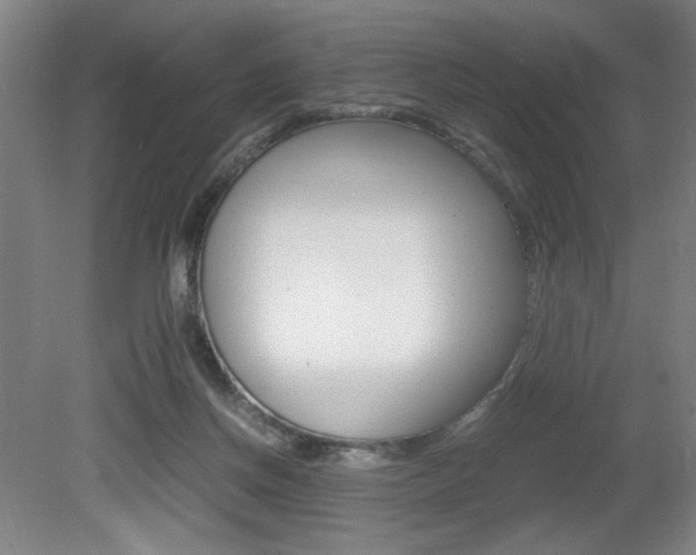 X0000080700166200612150846
