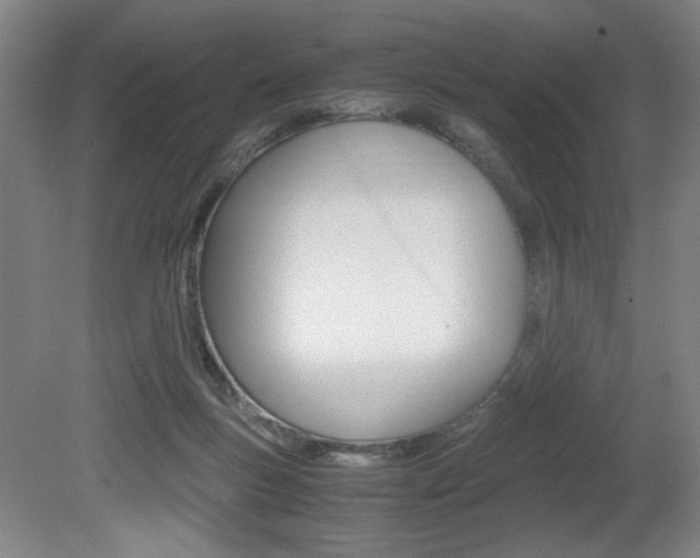 X0000080700167200612150846