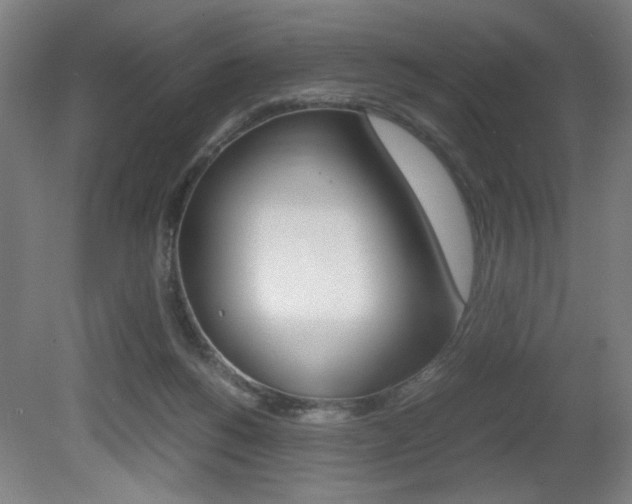X0000080700168200612150846
