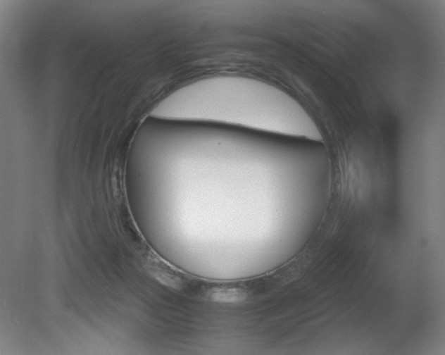 X0000080700169200612150846