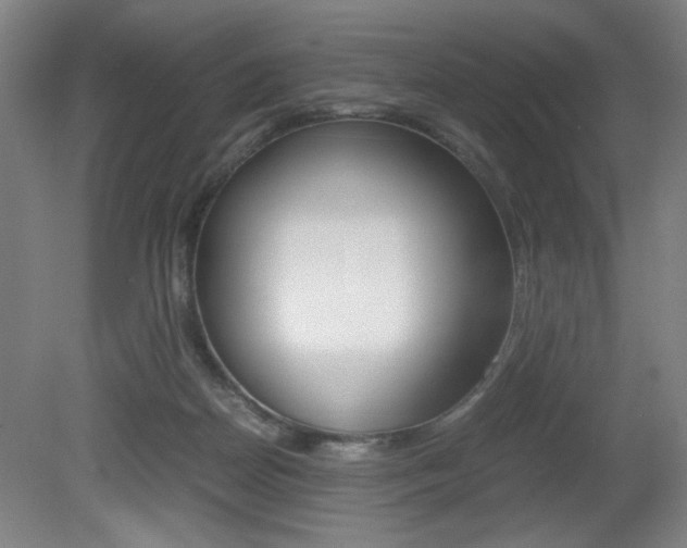 X0000080700170200612150846