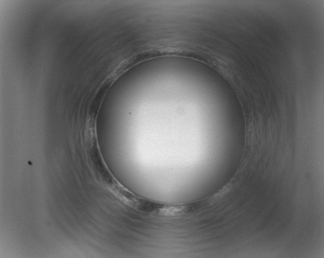 X0000080700172200612150846
