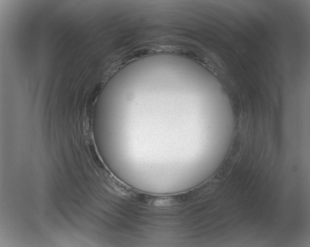 X0000080700173200612150846