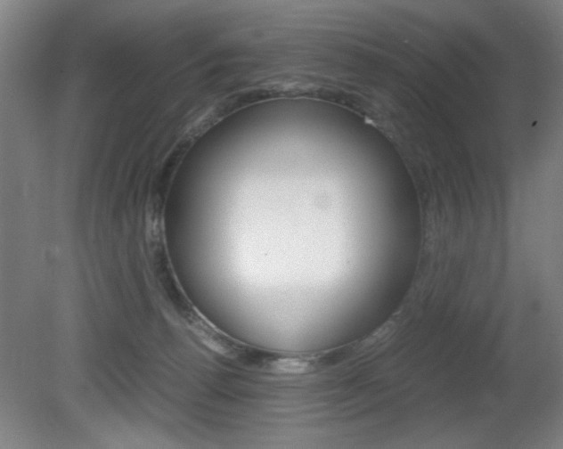 X0000080700176200612150846