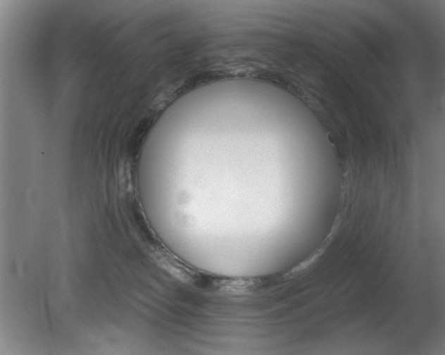 X0000080700182200612150846