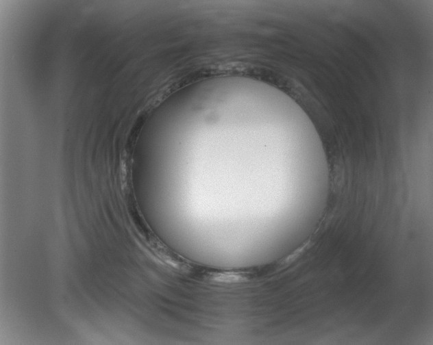 X0000080700183200612150846