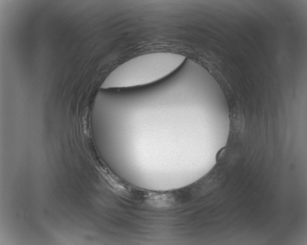 X0000080700185200612150846