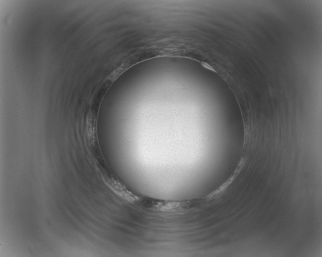X0000080700186200612150846