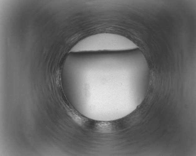 X0000080700189200612150846