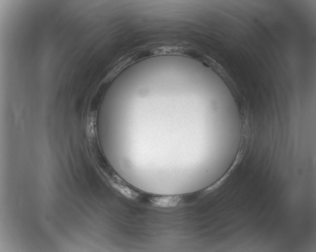 X0000080700191200612150846