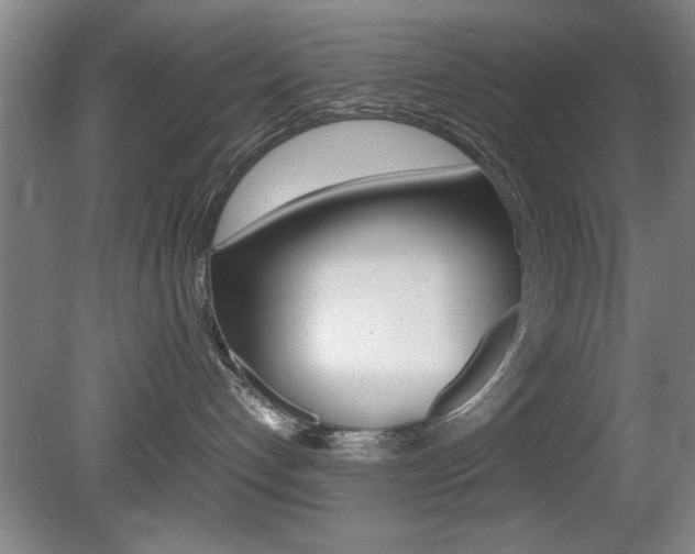 X0000080700192200612150846