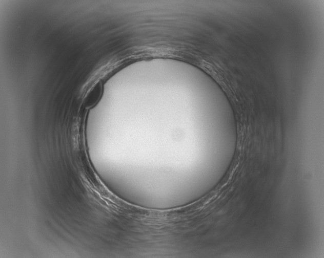 X0000080700194200612150845