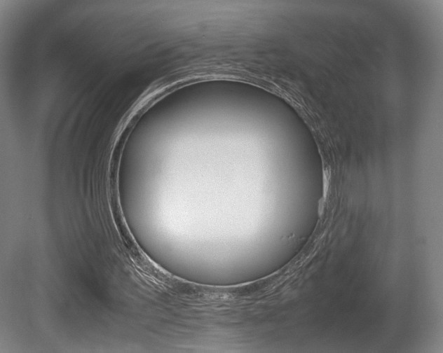 X0000080700195200612150845